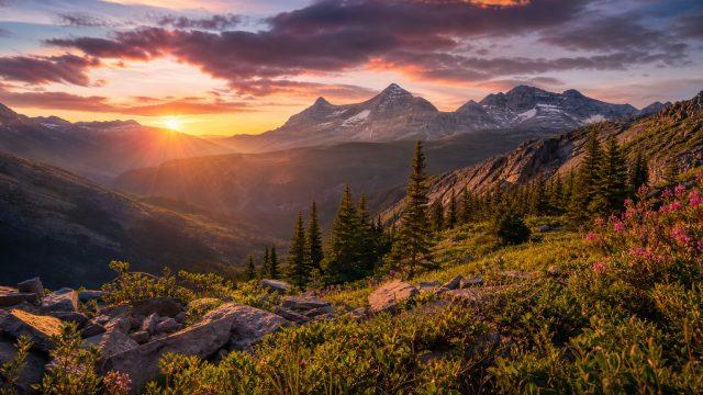 Transform Your Screen with Captivating Nature Wallpapers | gelora188 slot, best online blackjack cas