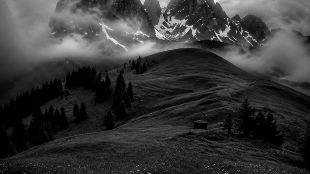 The Power of Black and White Photography: A Timeless Art | login bandar4d, asialive88 link