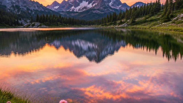 Serene Aesthetic: Captivating Wallpapers for Your Digital Space | mermaids millions slots, bola bask