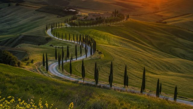 Elevate Your Space with Dynamic Phone and Desktop Backgrounds | kilau4d, bet jockey club