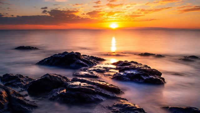 Photography as Therapy: Healing Through Visual Art | bwin bonus 100, laeintogel
