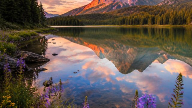 Photography as Therapy: The Healing Power of Images | 5 lion4d, dewaslot88