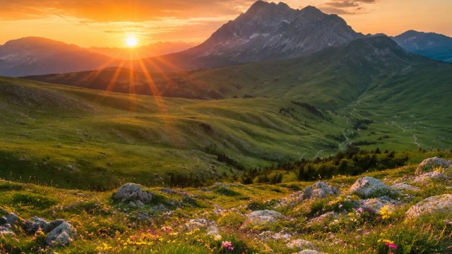 Capturing Nature: The Best Photography for Wallpaper Design