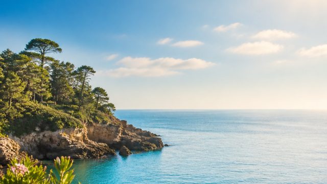 Charming Summer Vibes: Captivating Wallpapers for Your Screens