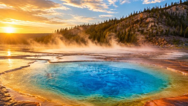 Captivating Wilderness: Yellowstone's Vivid Beauty in Your Space