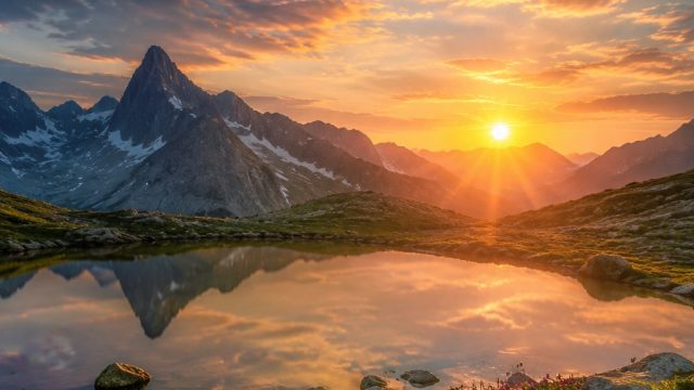 Explore the Visual Allure of Nature-Inspired Wallpapers