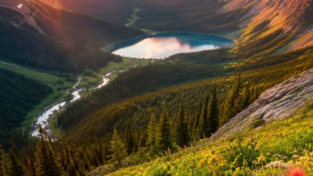 Vibrant Nature Scenes for Your Digital Canvas