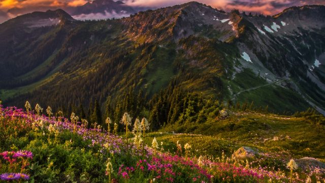 Captivating Landscapes: Stunning Nature Wallpapers for Every Screen