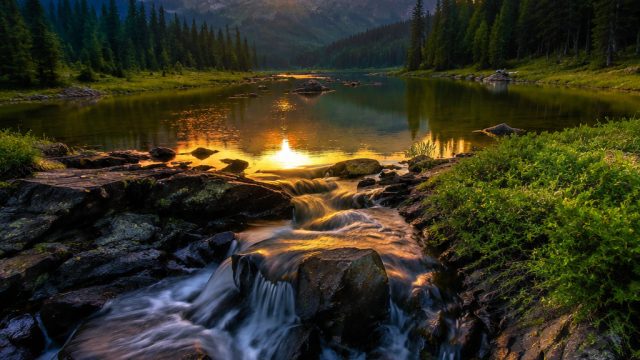 Captivating Nature Wallpapers: Elevate Your Screen Aesthetic