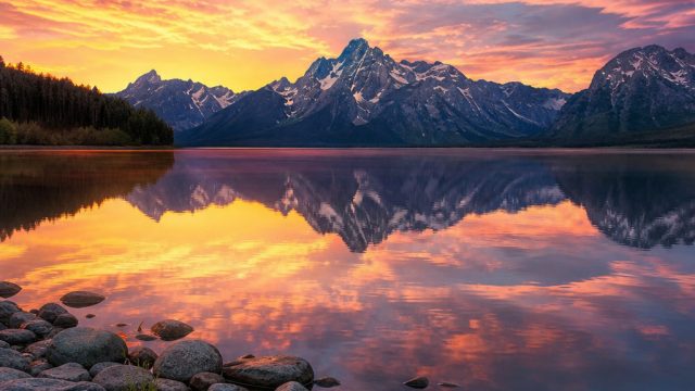 Captivating Nature Wallpapers: Transform Your Screens Today