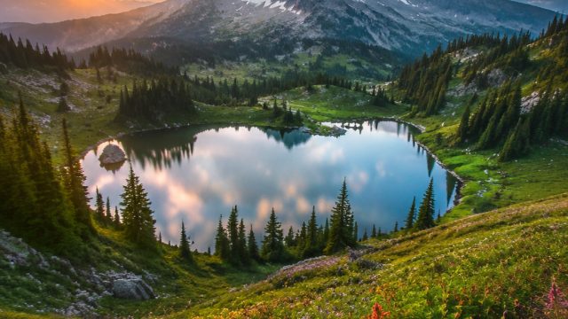 Captivating Nature: Explore Our Vibrant Wallpaper Collection