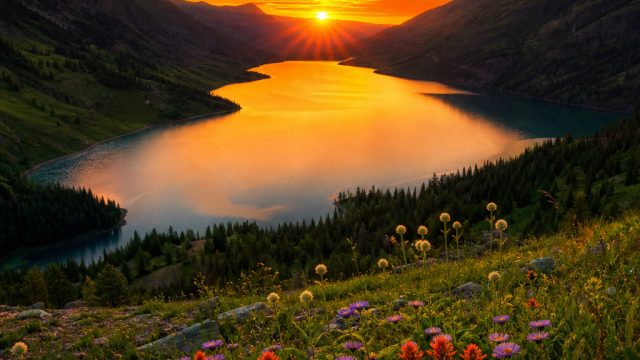 Discover Vibrant Visuals: Transform Your Screen with Dynamic Wallpapers
