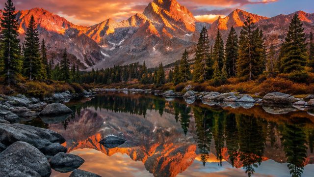 Explore Stunning Nature Wallpapers for Your Screens