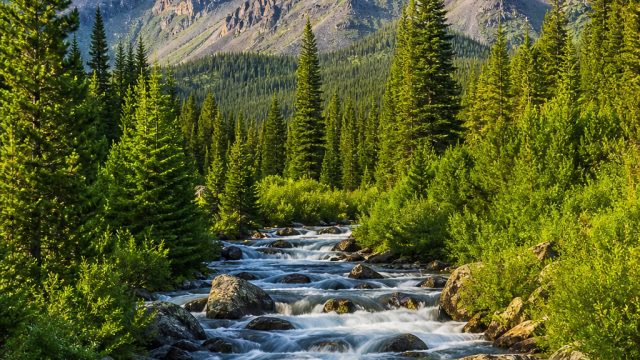 Vibrant Nature Scenes: Transform Your Screen with Beauty