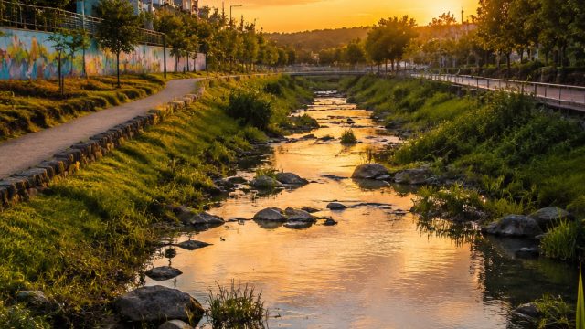 Reviving Neighborhoods: The Aesthetic Journey Through Zacate Creek