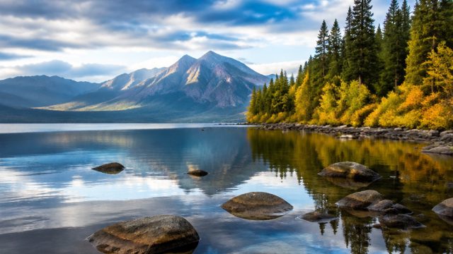 Captivating Backgrounds: Embrace the Modern Aesthetic
