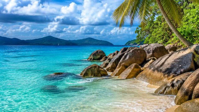 Vibrant Coastal Serenity: Capture the Essence of Caribbean Vibes