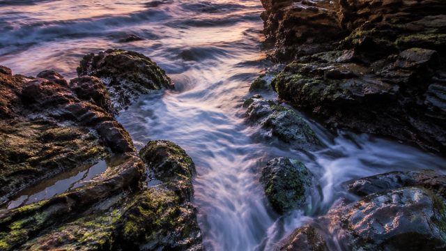 Captivating Textures: Nature-Inspired Wallpapers for Your Screen