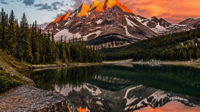 Dynamic Wallpapers: Elevate Your Screen with Stunning Visuals