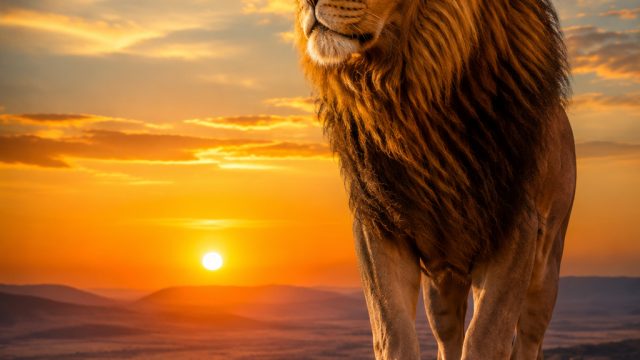 Captivating Wildlife Wallpapers: Nature's Beauty at Your Fingertips