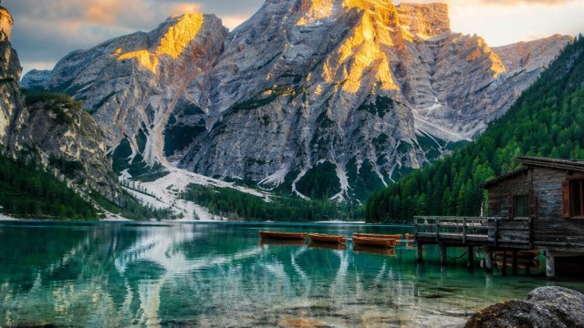 Transform Your Screen with Captivating Nature-Inspired Wallpapers
