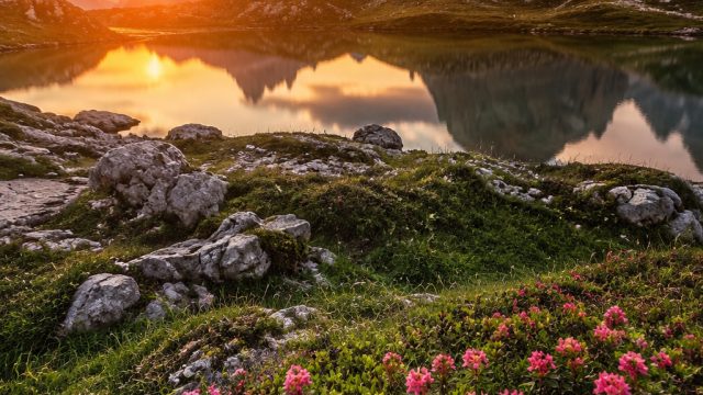 Captivating Landscapes: A Perfect Escape for Your Screen