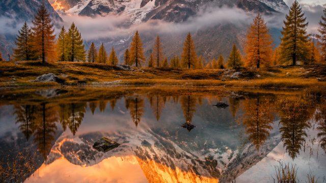 Elevate Your Space with Captivating Visual Themes