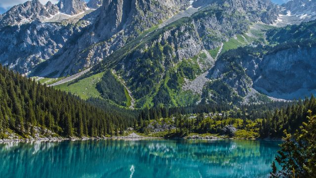 Captivating Nature Wallpapers for a Refreshing Digital Experience