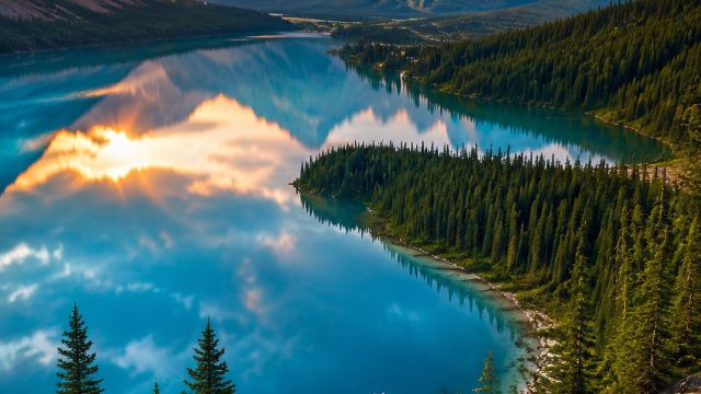 Nature's Serenity: Captivating Wallpapers for Every Device