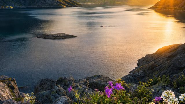 Transform Your Space with Striking Nature Wallpaper