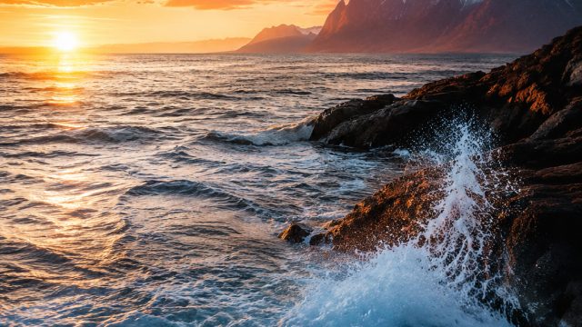 Captivating Visual Journeys: Stunning Wallpaper Selections