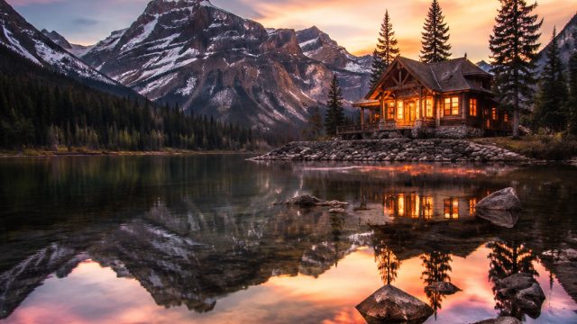 Stunning Visuals: The Elegance of Nature in Wallpapers