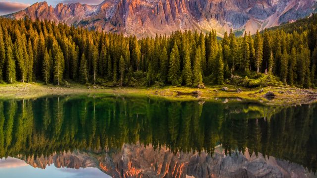 Captivating Wallpaper Collection: Energize Your Screen with Visuals