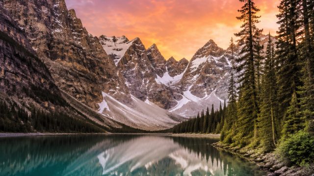 Explore the Serene Beauty of Nature in Our Latest Wallpaper Collection