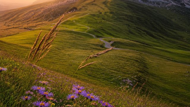 Discover the Beauty of Nature through Stunning Wallpapers