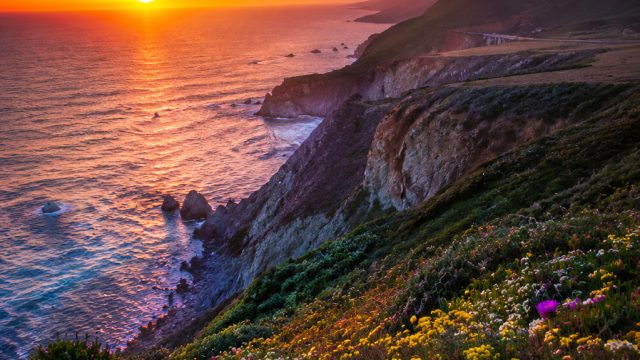 Captivating Nature Scenes: Perfect Backgrounds for Every Mood