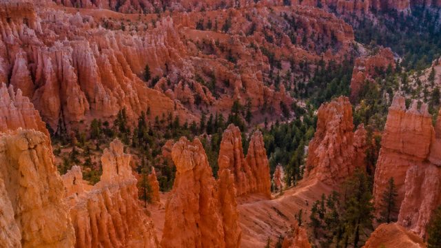 Nature's Palette: Stunning Wallpapers Inspired by Bryce Canyon