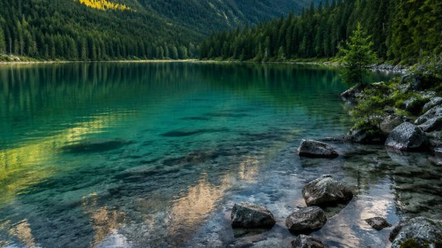 Captivating Visual Themes for Stunning Phone and Desktop Backgrounds