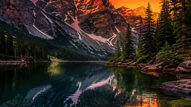 Captivating Visuals: Celebrate with Stunning Wallpaper Themes