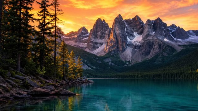 Transform Your Screen: Stunning Wallpaper Themes for Every Mood