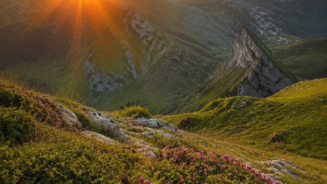 Captivating Nature: The Allure of Scenic Wallpaper for Your Devices