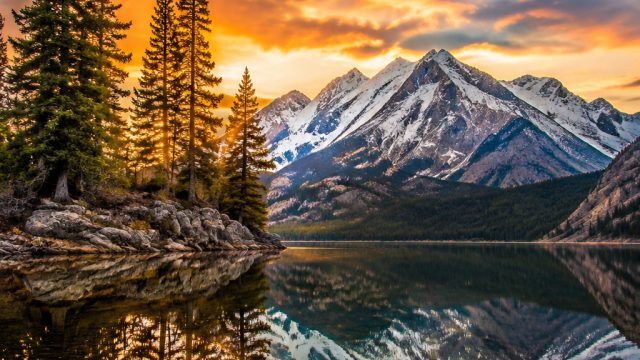 Captivating Visuals: Discover Our Latest Wallpaper Gallery