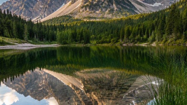 Embrace Tranquility with Nature-Inspired Wallpaper Designs