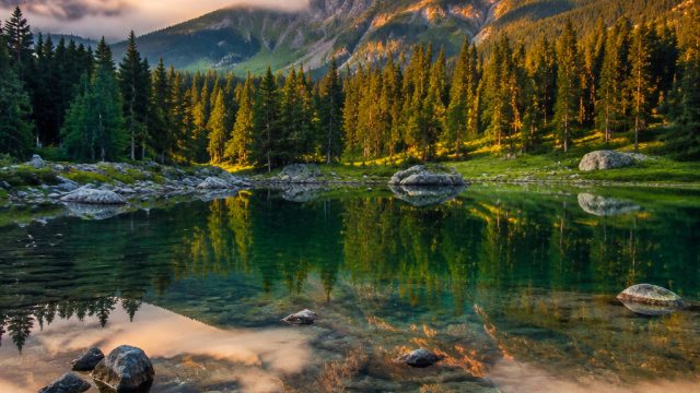 Discover Tranquil Nature: Perfect Wallpapers for Every Screen
