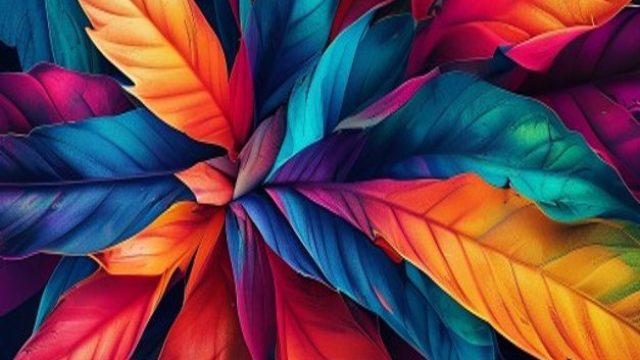 Exploring Vibrant Visuals: Bold Wallpaper Designs for Every Mood