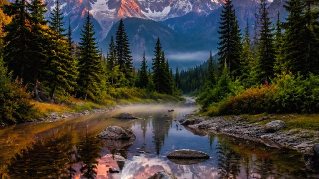 Captivating Nature: A Wallpaper Gallery to Inspire Your Screen