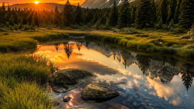 Captivating Nature Wallpapers for Modern Screens