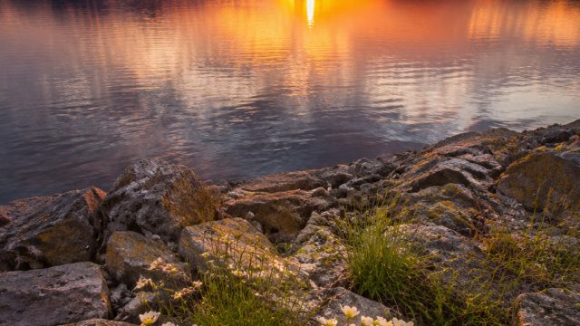 Nature's Serenity: Tranquil Landscapes for Your Screens