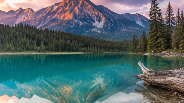 Stunning Serenity: Nature-Inspired Wallpapers for Every Device
