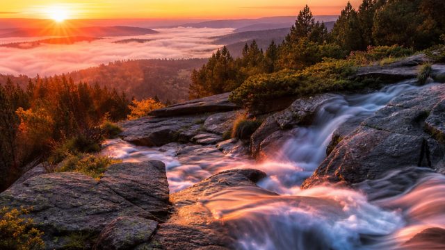 Serene Beauty: Transform Your Screen with Nature-Inspired Wallpapers